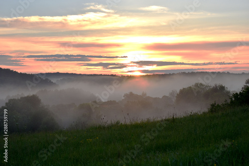View of the forest covered with fog at sunset