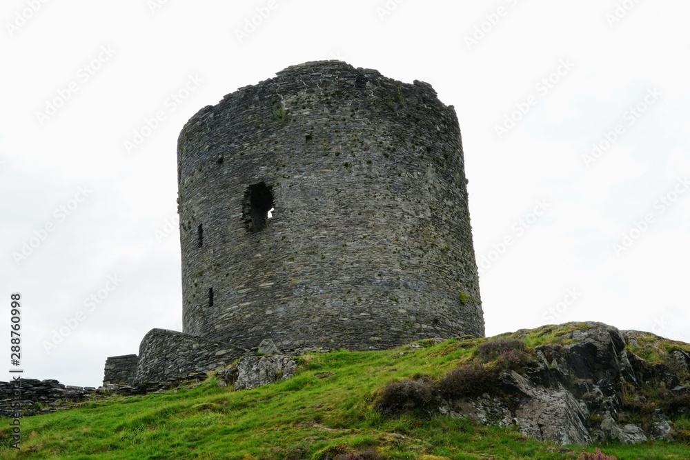 Castle Ruins Isolated on a Hill 