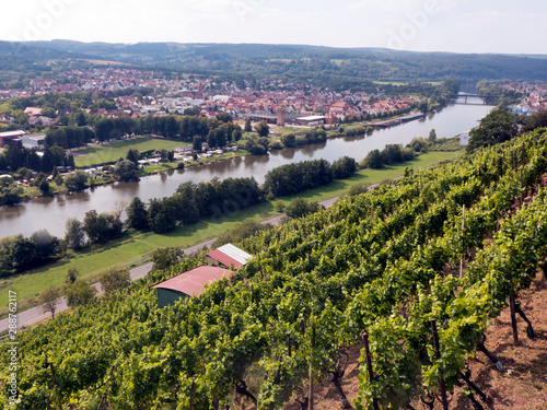 Wanderung auf dem Fränkischen Rotwein Wanderweg von Erlenbach über Klingenberg nach Miltenberg. Der Weg führt durch Weinberge und Wiesen. Im Tal sieht man den Fluss Main und die Stadt Wörth am Main.