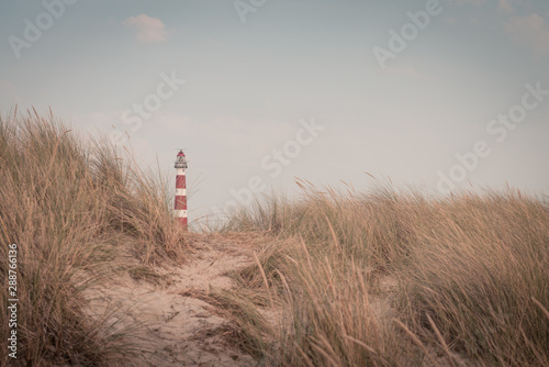 Lighthouse Bornrif Ameland, sea landscape, blue cloudy sky in the dunes, high dune grass, the Netherlands photo