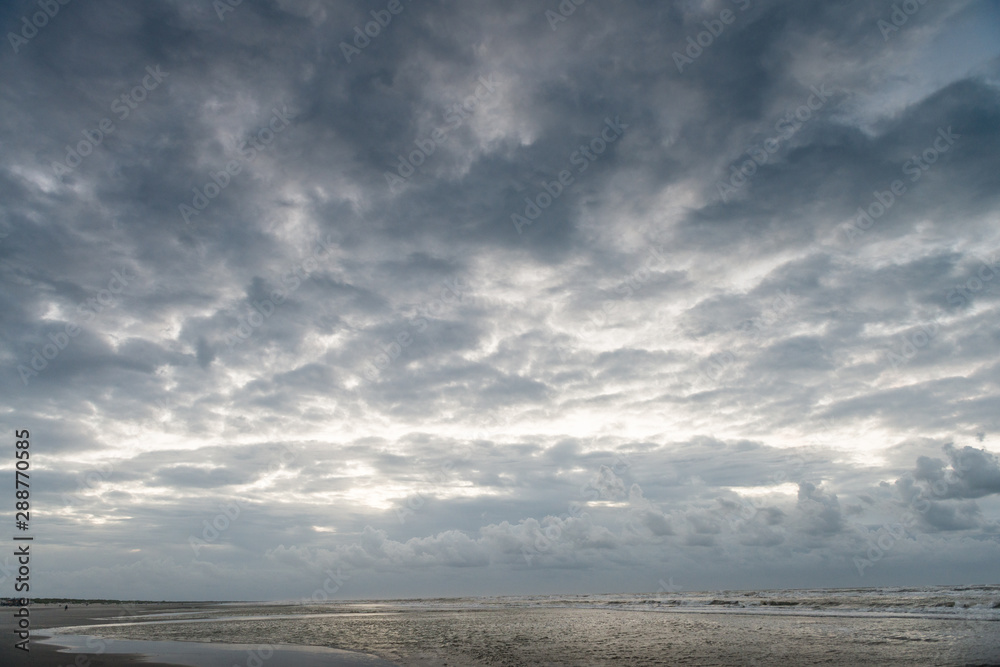 amazon, animal, background, beach, beautiful, beauty, cloud, dusk, equine, female, friendship, gallop, galloping, girl, happy, healthy, horse, horseback, landscape, lifestyle, mare, nature, ocean, out amazon, animal, background, beach, beautiful, beauty, cloud, dusk, equine, female, friendship, gallop, galloping, girl, happy, healthy, horse, horseback, landscape, lifestyle, mare, nature, ocean, out