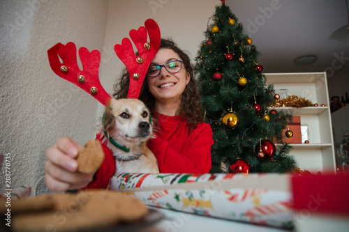 Woman feeding small white dog wearing antlers in front of Christmas tree © Daniel