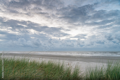 Dune landscape  sunset by the sea  beautiful blue cloudy sky  contrast  light  shadow  idyllic  Marram Grass  sand dunes  Ameland  Dutch north sea  coast  Ameland  Wadden island  Friesland  Netherland