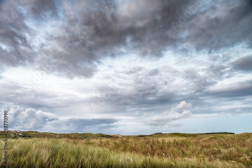 Dune landscape, sunset by the sea, beautiful blue cloudy sky, contrast, light, shadow, idyllic, Marram Grass, sand dunes, Ameland, Dutch north sea, coast, Ameland, Wadden island, Friesland, Netherland