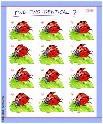 Logical puzzle game for little children. Need to find two identical ladybirds. Educational page for kids. IQ training test. Printable worksheet for textbook. Back to school. Vector cartoon image.