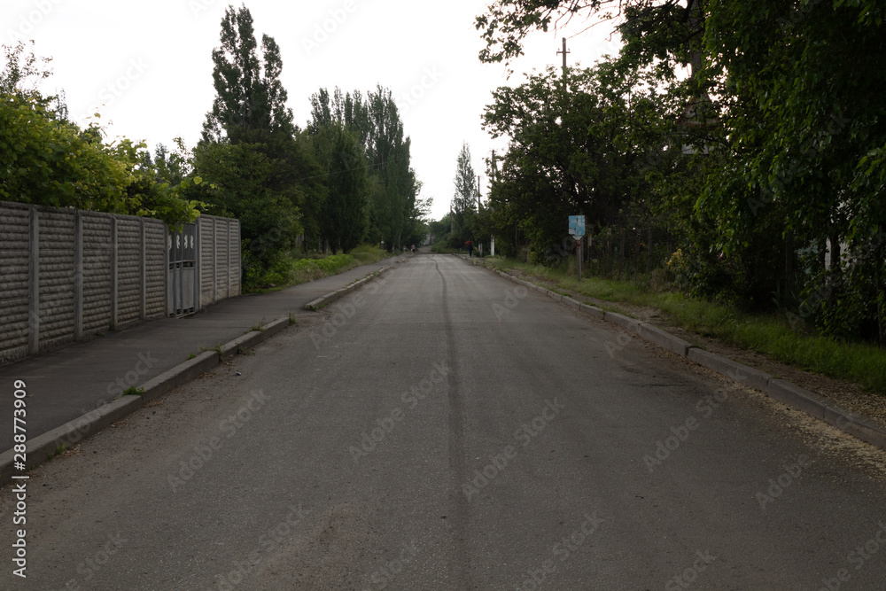 empty urban road with gray concrete fence near green tall trees and white sky at sunrise.