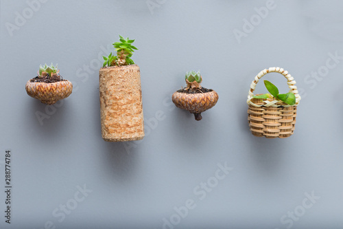Mini garden on the fridge