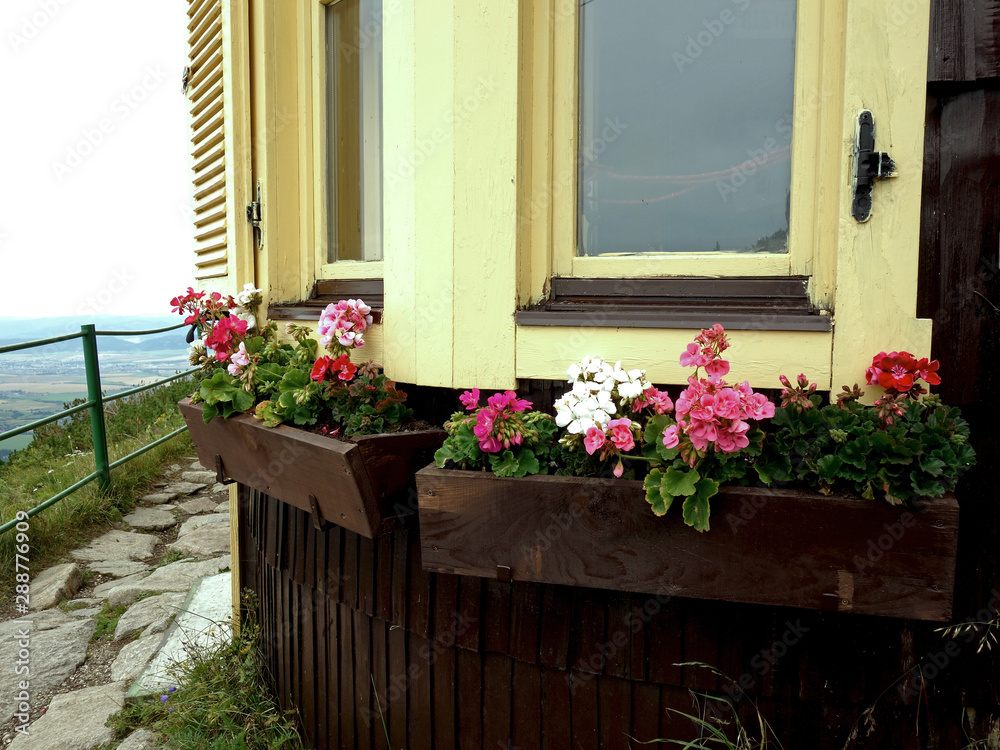 Flowers in a flower pot on a cottage in a mountain environment