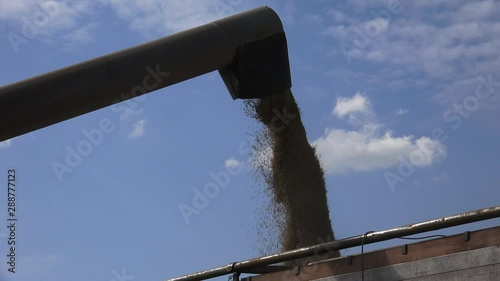 The modern combine harvester, or simply combine, is a versatile machine designed to efficiently harvest a variety of grain crops. 
