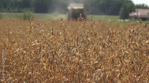 The modern combine harvester, or simply combine, is a versatile machine designed to efficiently harvest a variety of grain crops. 