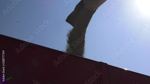 The modern combine harvester, or simply combine, is a versatile machine designed to efficiently harvest a variety of grain crops. 