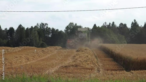 The modern combine harvester, or simply combine, is a versatile machine designed to efficiently harvest a variety of grain crops. 