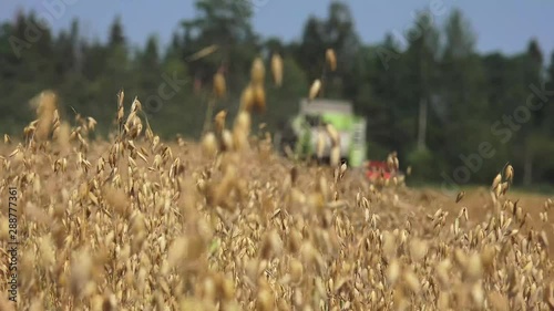 The modern combine harvester, or simply combine, is a versatile machine designed to efficiently harvest a variety of grain crops. 