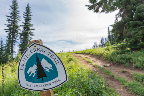 Pacific Crest Trail at Mt. Rainier