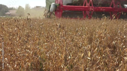 The modern combine harvester, or simply combine, is a versatile machine designed to efficiently harvest a variety of grain crops. 