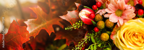 Composition of autumn chestnuts and leaves on isolated background photo