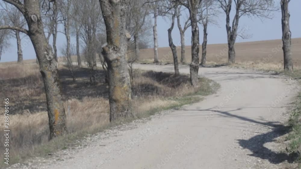 movement of the car on a dirt road view from the car movement of the car on a dirt road view from the car
