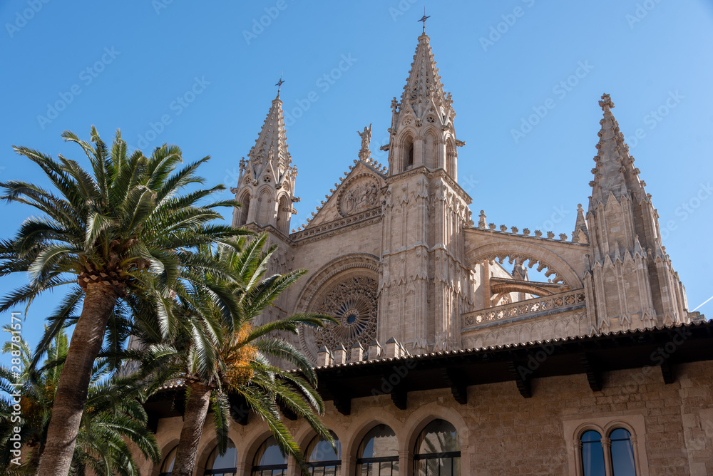 view of the Gothic cathedral of Palma de Mallorca