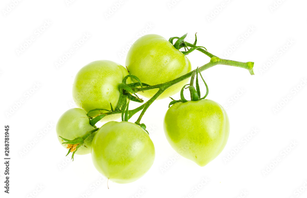 Unripe green tomatoes on branch isolated on white.