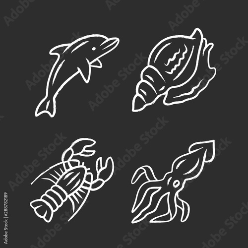 Ocean animals chalk icons set. Dolphin, squid, lobster, triton. Underwater world inhabitants. Swimming fish. Sea fauna. Seafood restaurant. Aquatic creatures. Isolated vector chalkboard illustrations