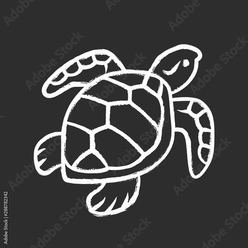 Turtle chalk icon. Slow moving reptile with scaly shell. Underwater aquatic animal. Swimming ocean creature. Oceanography and zoology. Marine fauna. Isolated vector chalkboard illustration