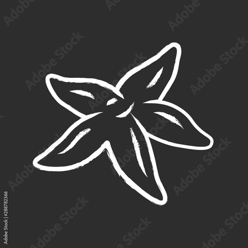 Starfish chalk icon. Tropical underwater creature. Invertebrate mollusk. Star shaped aquarium organism. Exotic undersea creature. Marine star, ocean fauna. Isolated vector chalkboard illustration