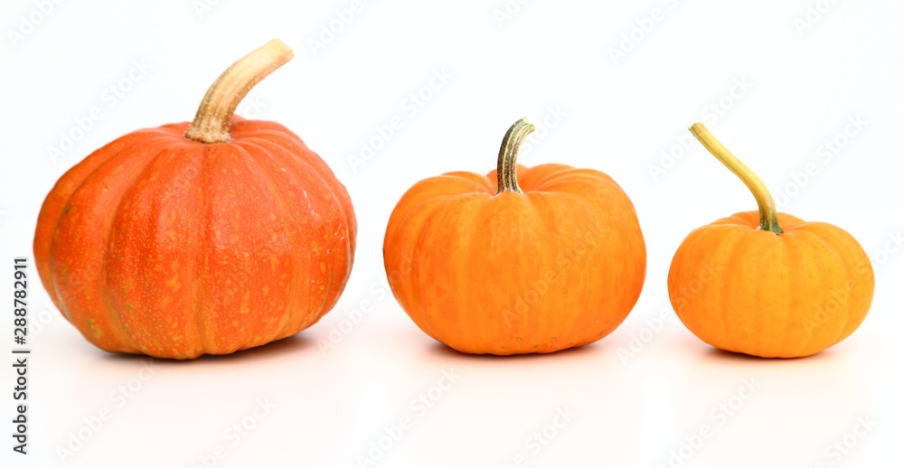 Pumpkins.
