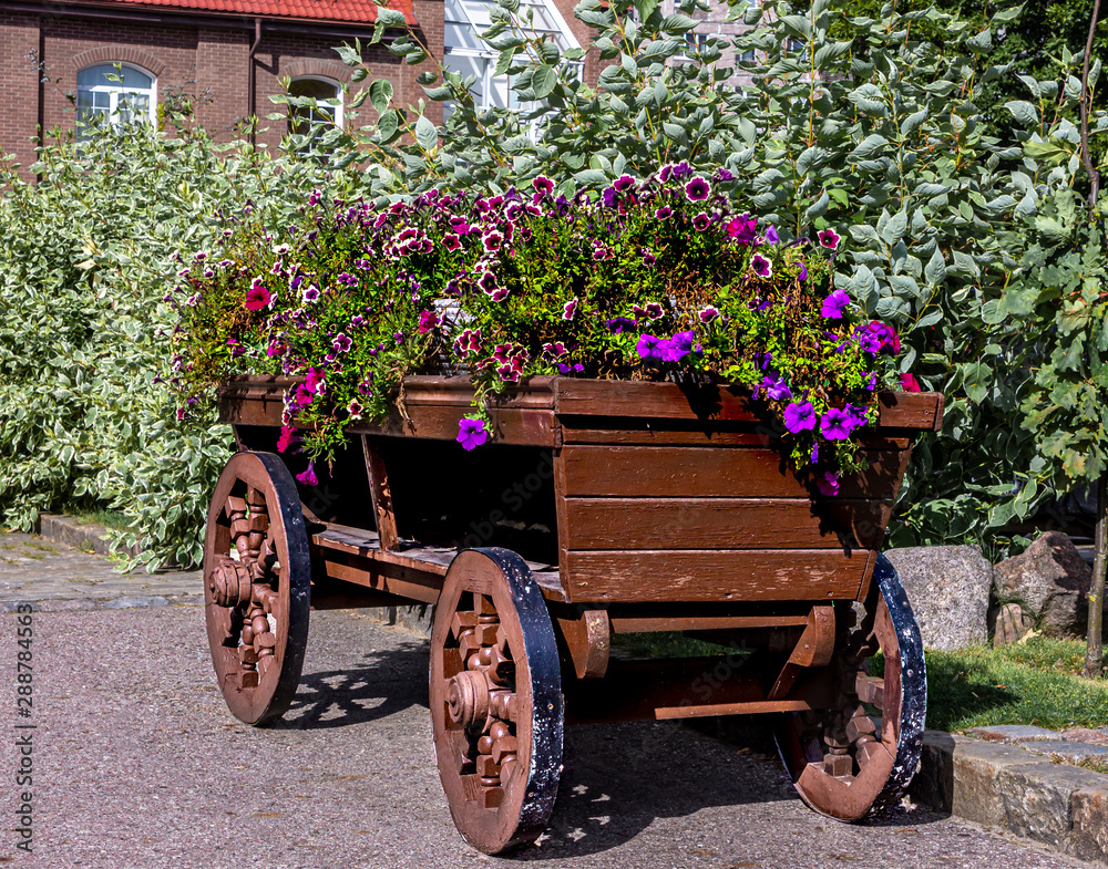 Old wooden cart with flowers