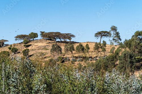 Landscape view between Gondar and the Simien mountains, Ethiopia, Africa photo