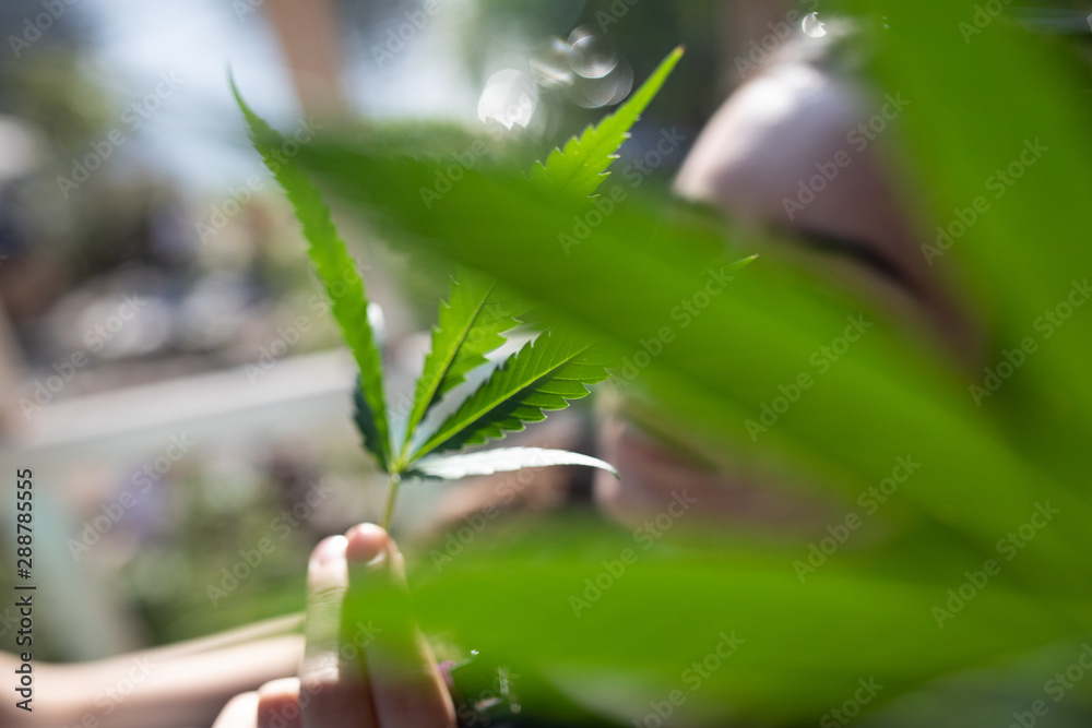 Obraz premium Frau im wandel der Elemente