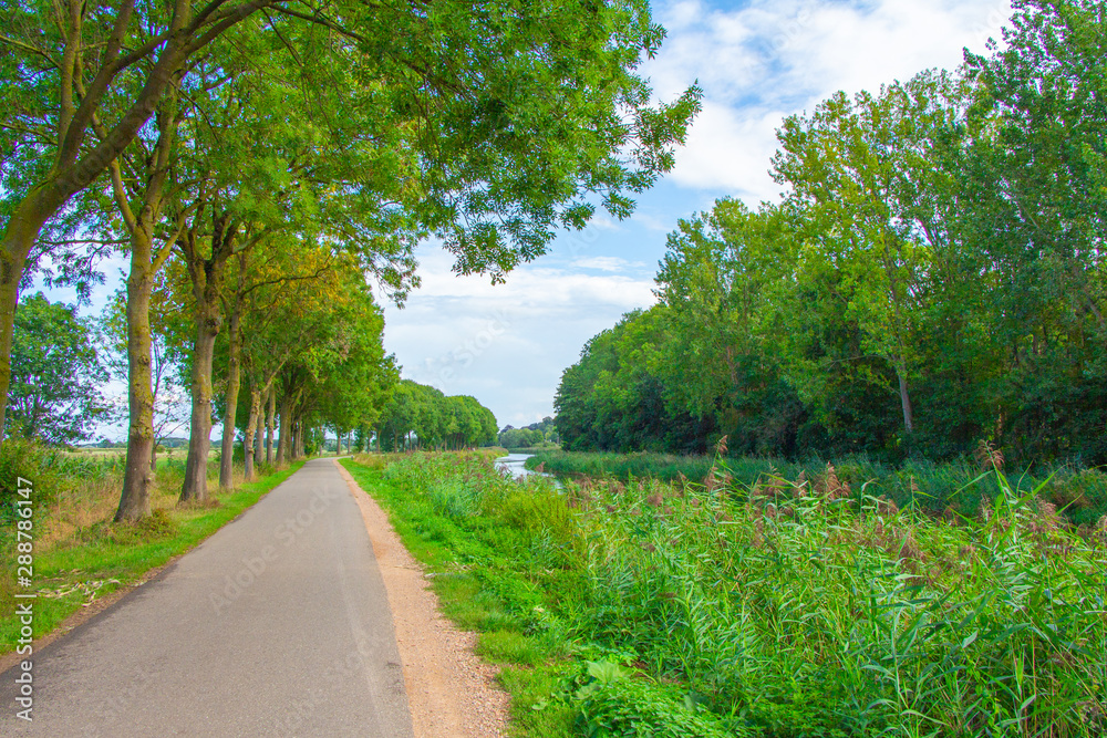 road next to Dutch polder landscape