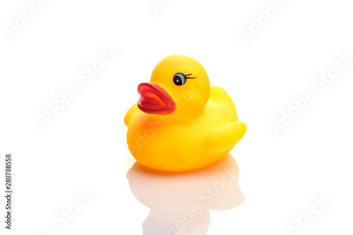 Rubber duck isolated. Yellow plastic toy in bathroom.