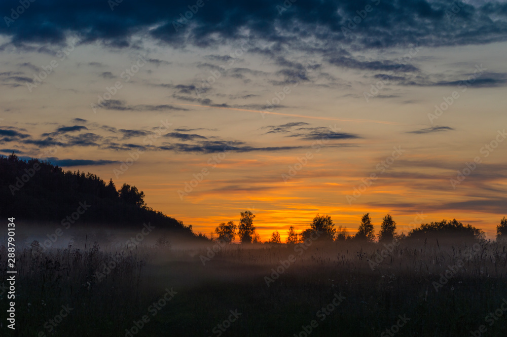 Fairytale fog