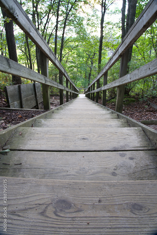 Obraz premium Stairs leading down a hill