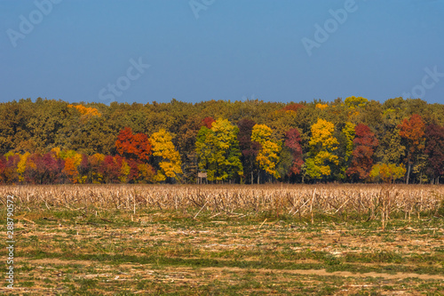 Autumn landscape with colorful trees in sunny day