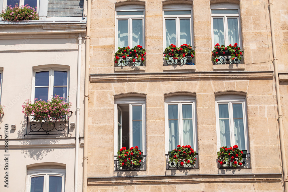 Blooming flowers on a windows of a residential building in Paris Blooming flowers on a windows of a residential building in Paris