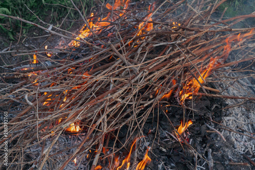 Fire of dry twigs on the green grass