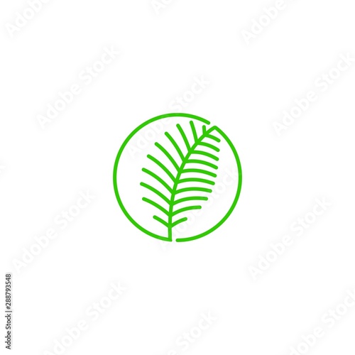 Palm leaf, tropical coconut leaf. Vector logo icon template