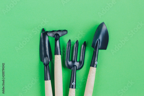 Gardening tools on a green background