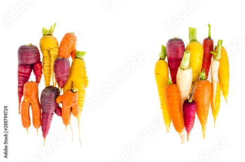 Ugly, deformed fresh organic carrots different color photo