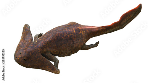 Diplocaulus  extinct amphibian from the Late Carboniferous to Permian period isolated on white background  top view 