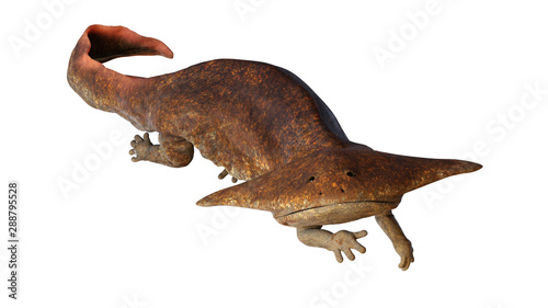 Diplocaulus, extinct amphibian from the Late Carboniferous to Permian period isolated on white background