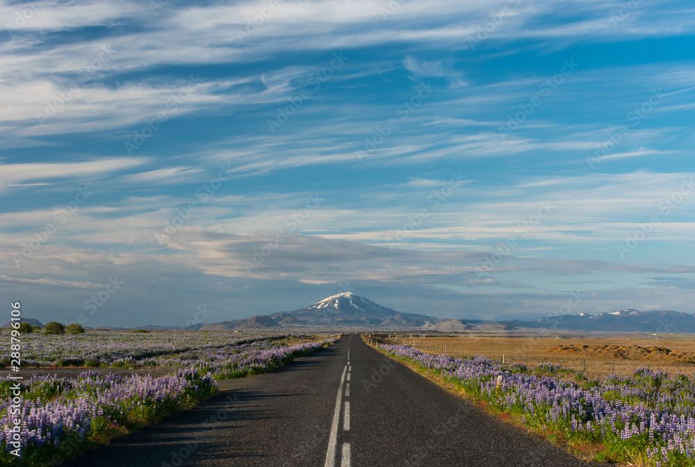 abandon street on Iceland with famous mountain Hekla in front