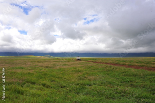 serengeti national park tanzania