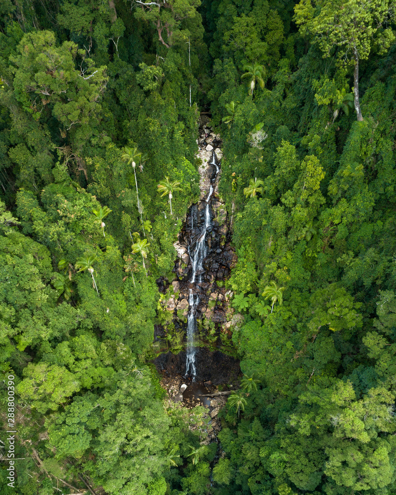 Fototapeta premium Beautiful aerial view of a waterfall at sunrise in the middle of a rainforest. Beautiful hike, walk, adventure location in Australia, Queensland, Twin Falls circuit