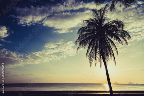 Siluate coconut tree on the beach