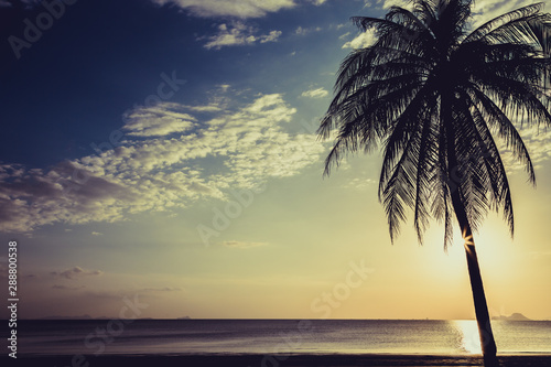 Fototapeta Naklejka Na Ścianę i Meble -  Siluate coconut tree on the beach