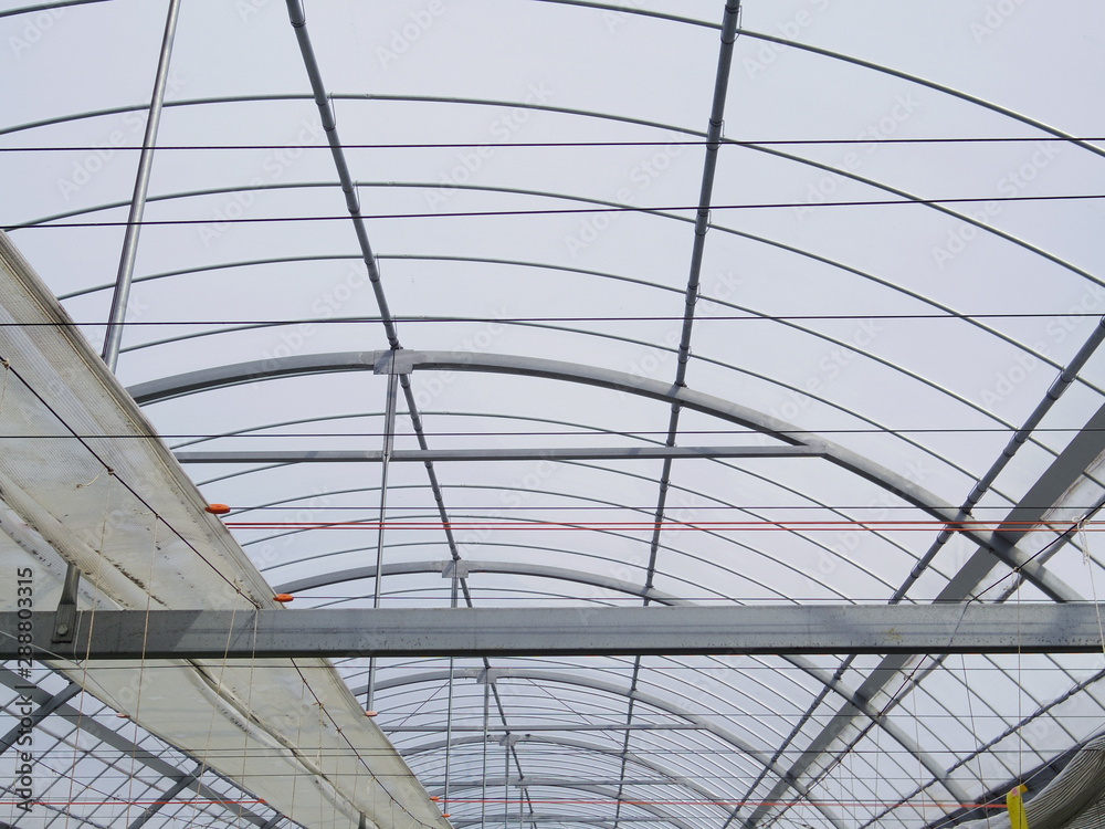 Fototapeta premium Greenhouse ceiling
