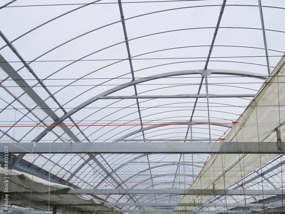  Greenhouse ceiling