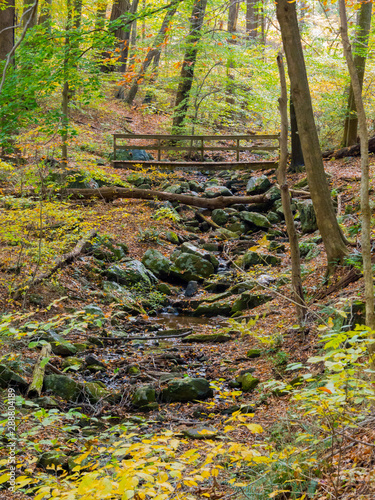 Wooden Bridge Across Forest Creek in Autumn
